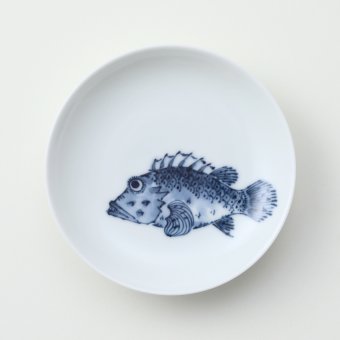 魚紋　＜かさご＞豆皿